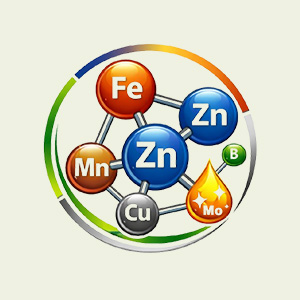 Micronutrient Fertilizer