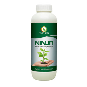 Ninja