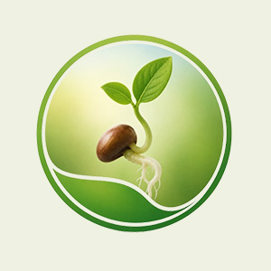 Seed treatment
