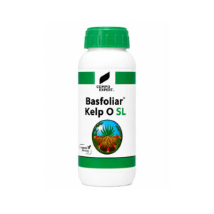 Basfoliar Kelp O SL (Compo Expert)