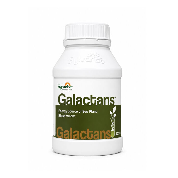 Sylvarise Galactans Sylvarise Galactans